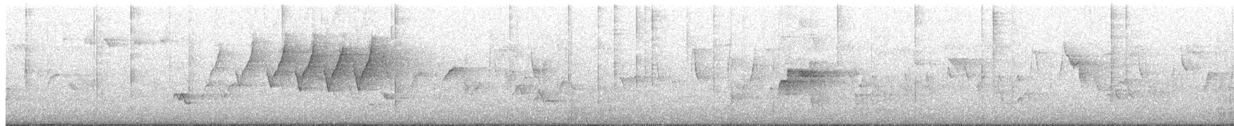 Protonoter Ötleğeni - ML77624591