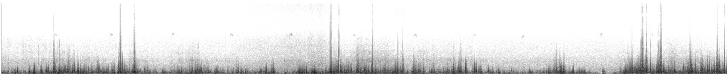 Graubraun-Grundtyrann - ML77641171