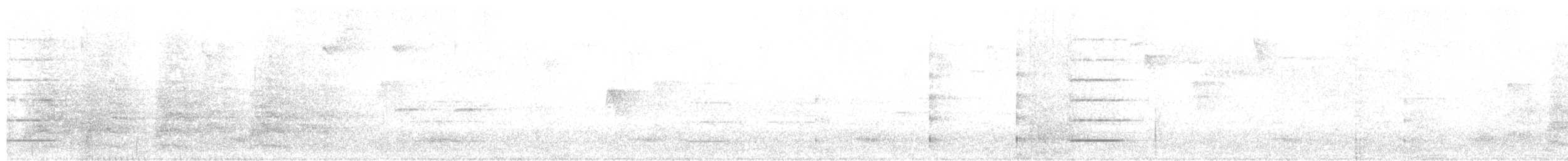 キガタヒメマイコドリ - ML77683161