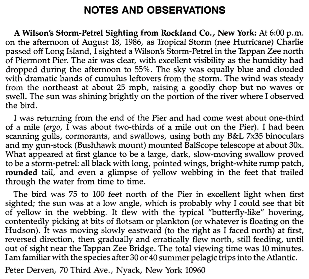 Wilson's Storm-Petrel - ML77718301