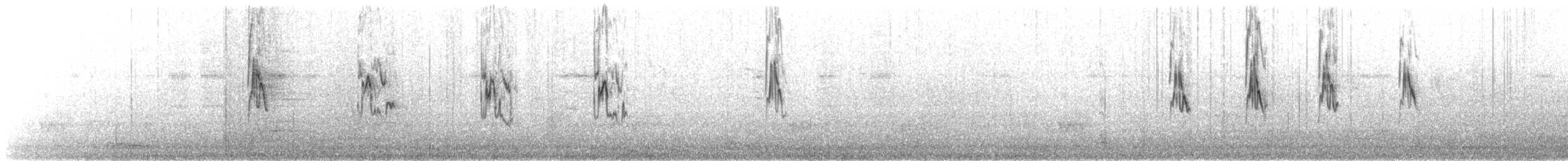 Berthelot's Pipit - ML77748001