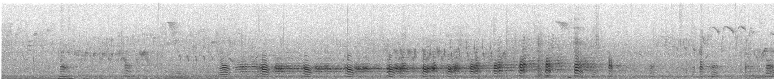 Spanish Eagle - ML77748291