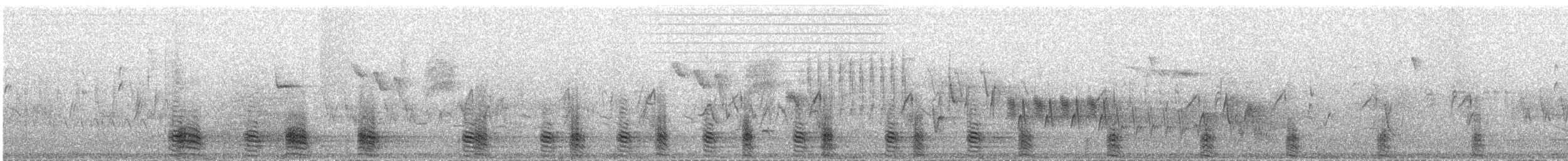 Spanish Eagle - ML77748351