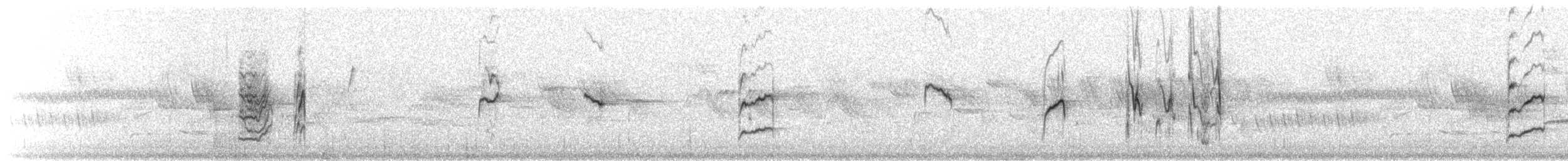 Island Canary - ML77750991