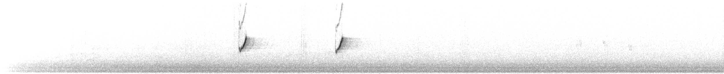 Canary Islands Chiffchaff - ML77751361