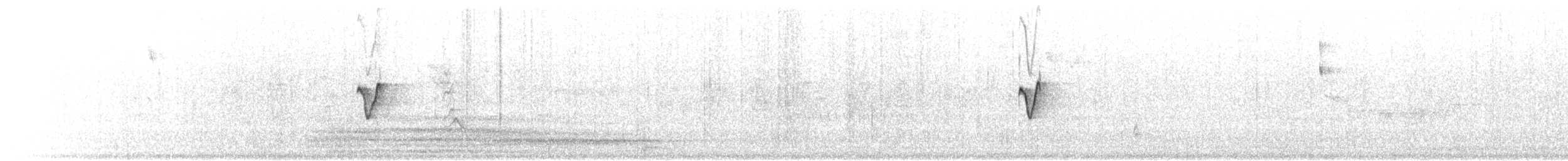 Canary Islands Chiffchaff - ML77751571