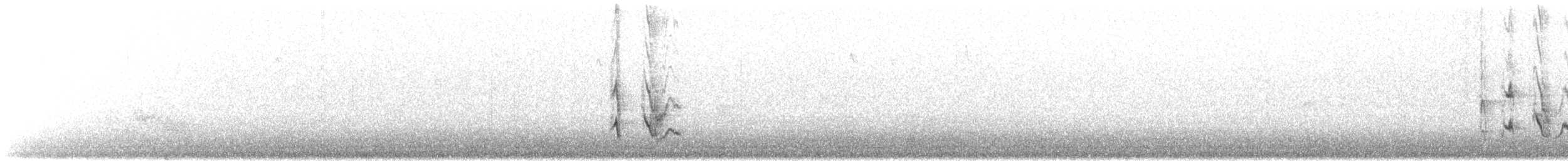 Tenerife Blue Chaffinch - ML77751691