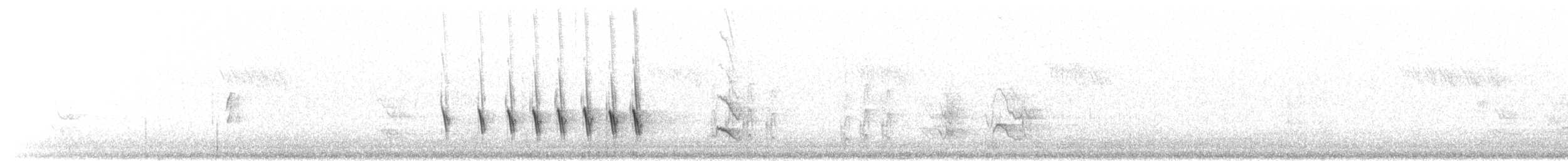 Tenerife Blue Chaffinch - ML77751771