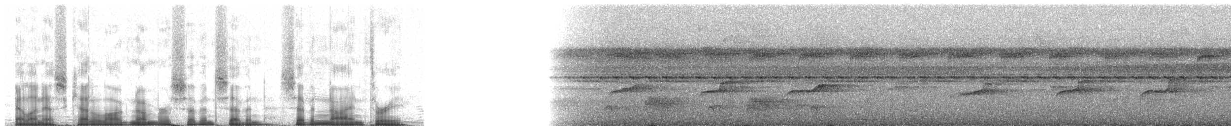 Sarı Telekli Yassıgaga (obscuriceps) - ML77793