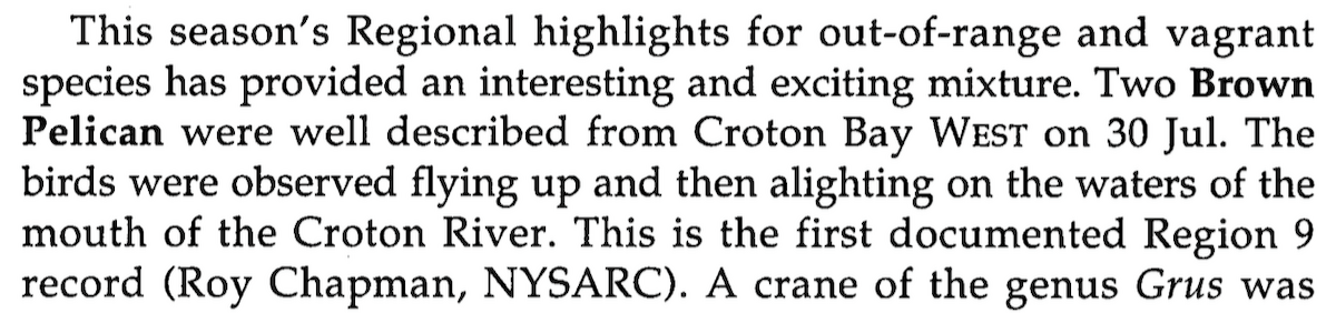 Brown Pelican - ML77814301