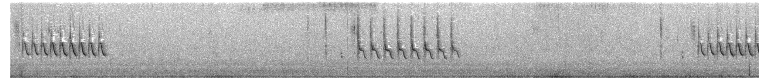 Grass Wren - ML77831321