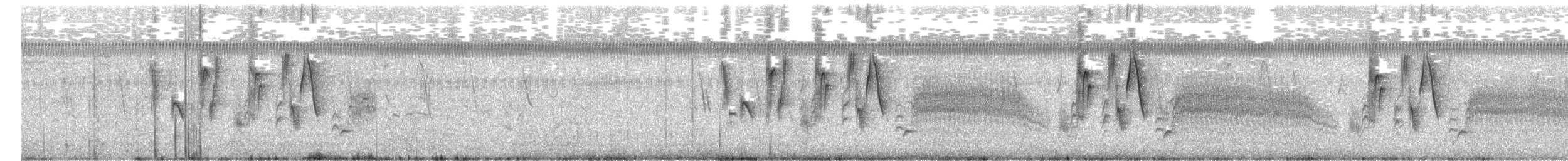 Correndera Pipit - ML77831521