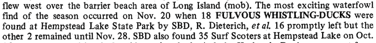 Fulvous Whistling-Duck - ML77851021