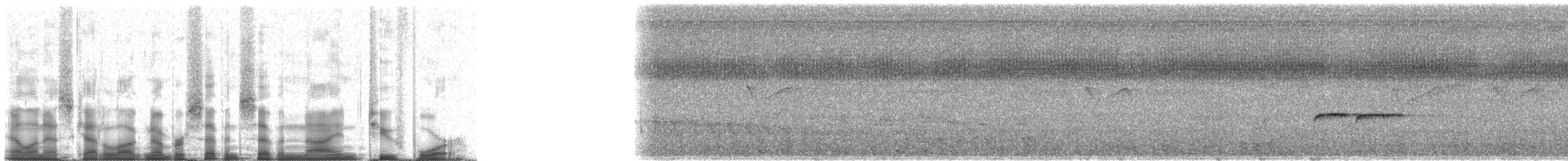 Finsch's Euphonia - ML77924