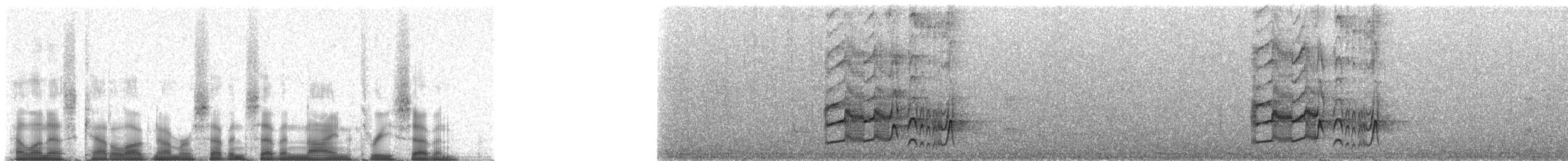 Starkschnabel-Maskentyrann (pitangua) - ML77937