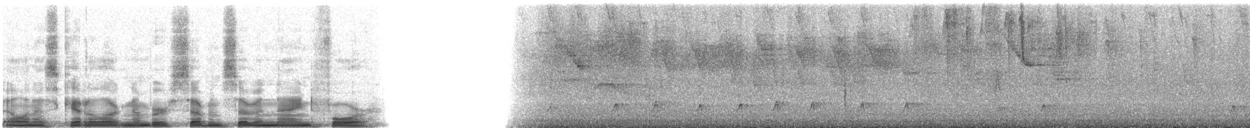 grenadatyrann - ML7794