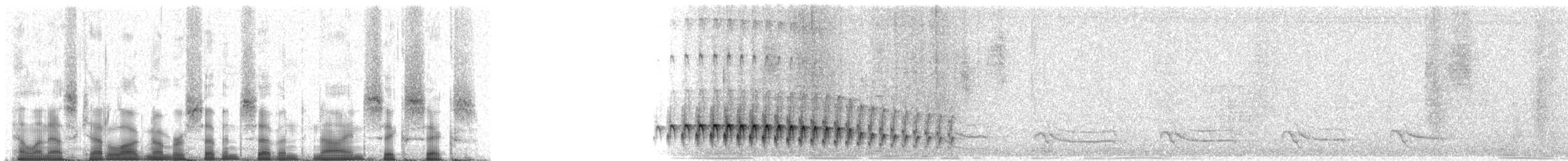 tinnmaurfugl (saturatior/vicina) - ML77966