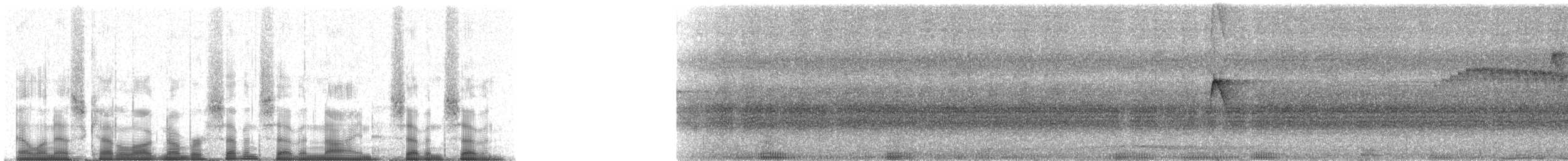 Whiskered Flycatcher (Whiskered) - ML77977