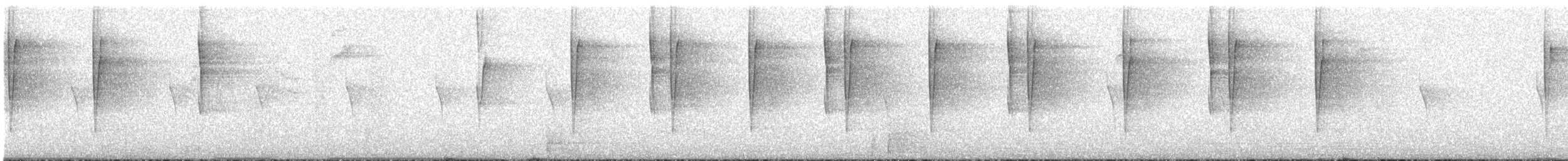 Oréophase cornu - ML77986101