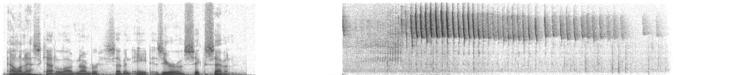 Chlorospin des buissons (groupe flavopectus) - ML78067