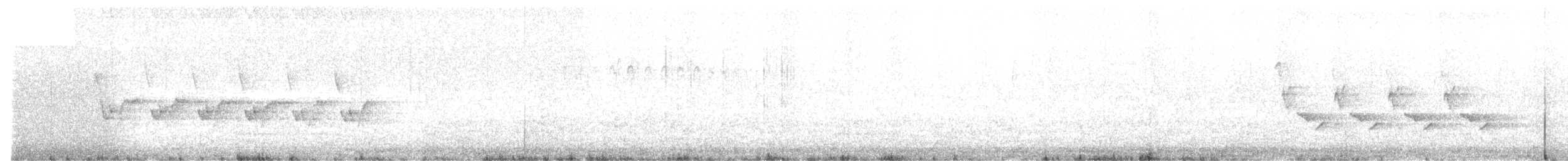 Поплітник каролінський - ML78082121