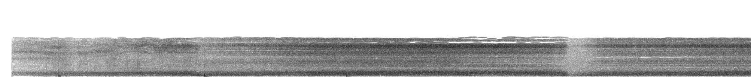Aura Gallipavo - ML78096841