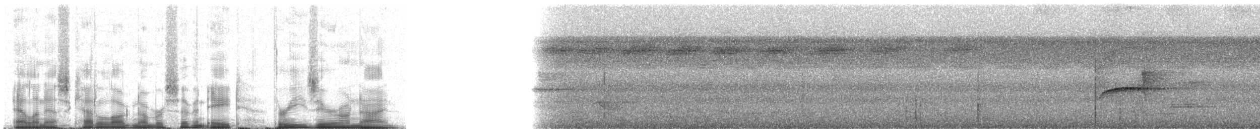 Sarı Telekli Yassıgaga (obscuriceps) - ML78309