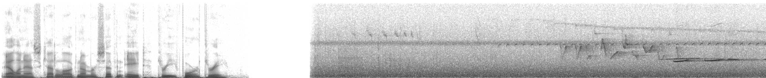 Ecuadorian Seedeater - ML78343