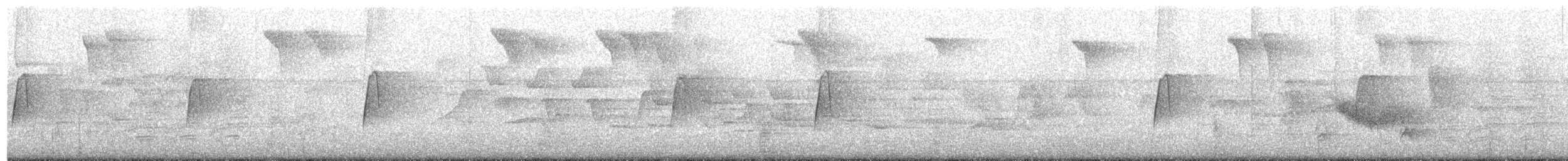 Viréo aux yeux blancs - ML78364131