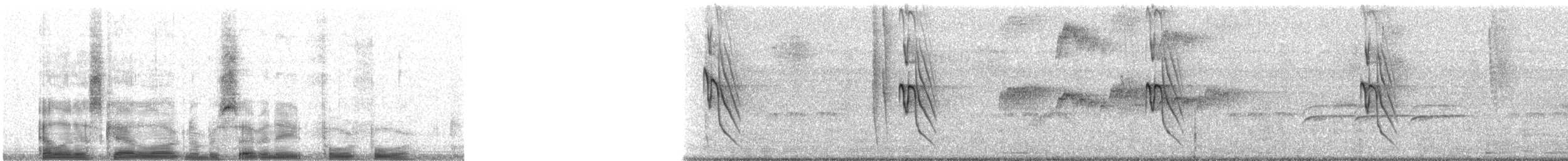 Tyran sociable (groupe similis) - ML7844