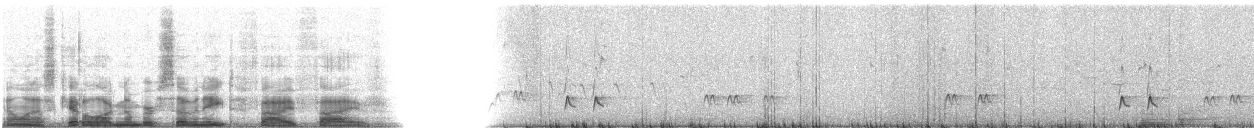 Boreal Sinekkapan - ML7855