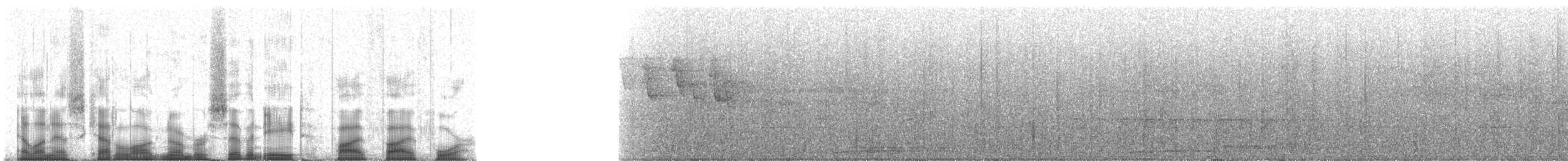 Spotted Catbird - ML78554