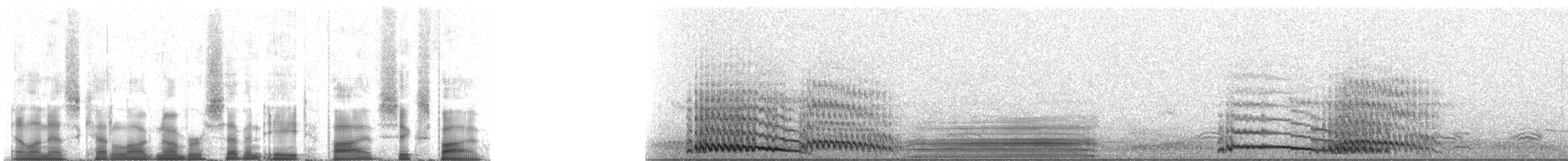 sarustrane - ML78565