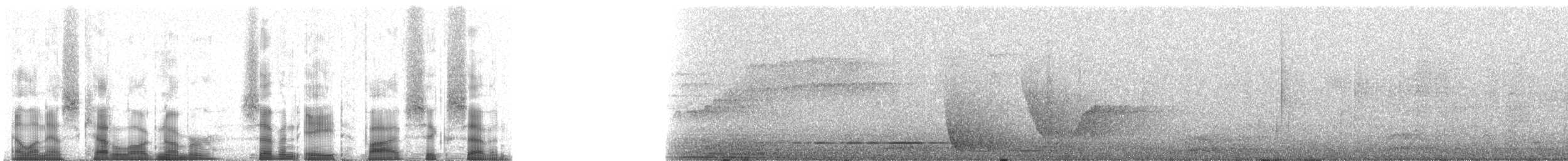 Королаз плямистобокий (підвид minor) - ML78567