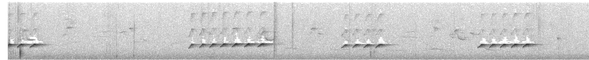 Piratic Flycatcher - ML78615171