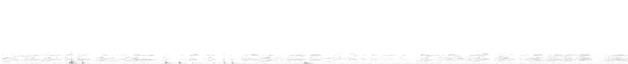 kanadagås - ML78615541