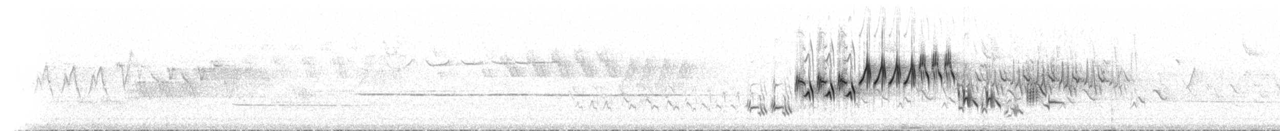 Еловая овсянка - ML78759161