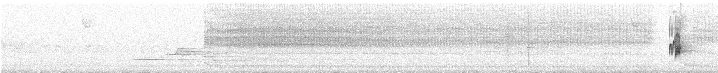 Желтобрюхий мухолов - ML78767501