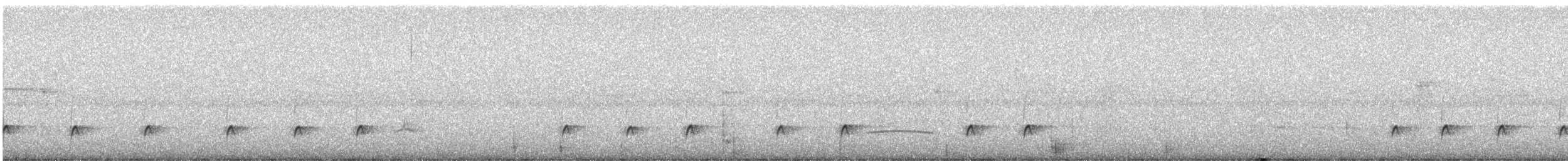 Greater Pewee - ML78772791