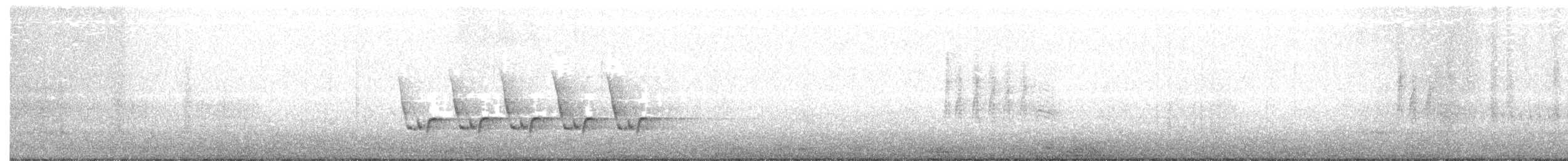 Поплітник каролінський - ML78820771