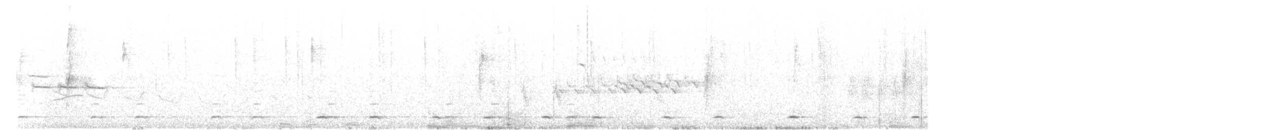 Chevêchette naine (gnoma) - ML78917491