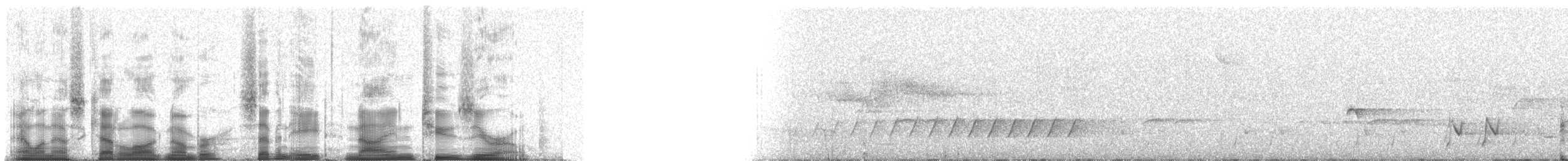 White-eared Honeyeater - ML78920