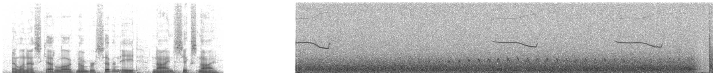 Breitspiegel-Nachtschwalbe (ruficervix) - ML78969
