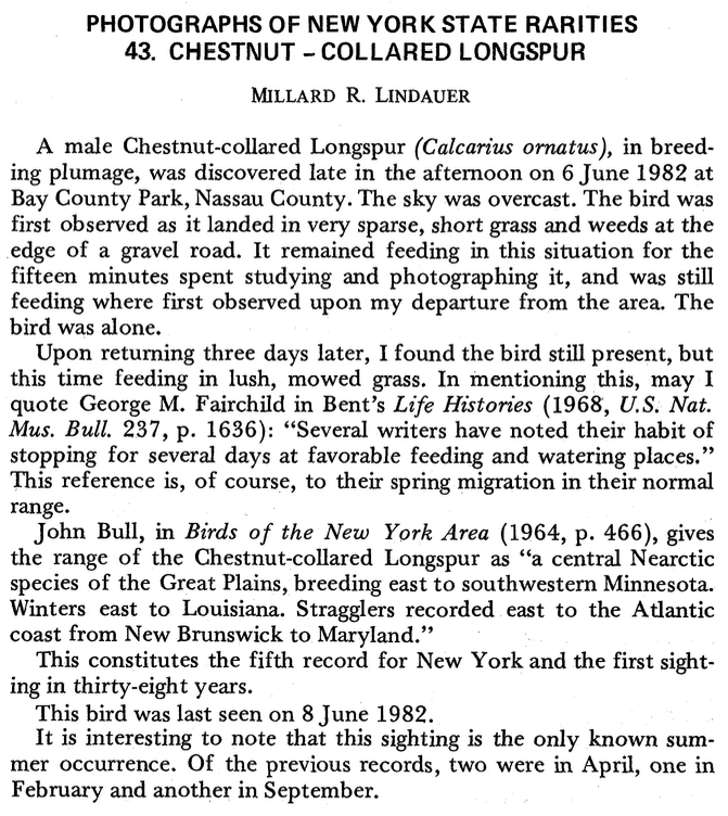 Chestnut-collared Longspur - ML79057041