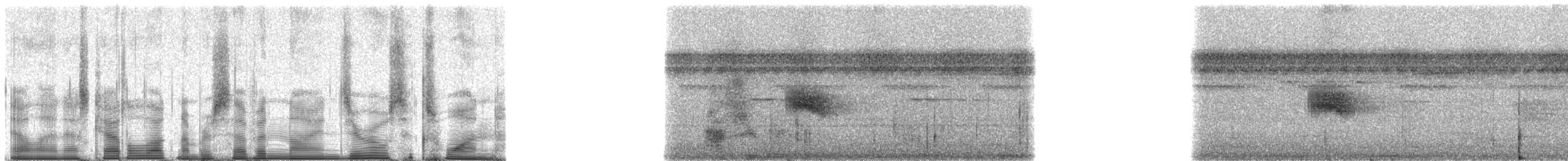 White-crowned Manakin (Guianan) - ML79061