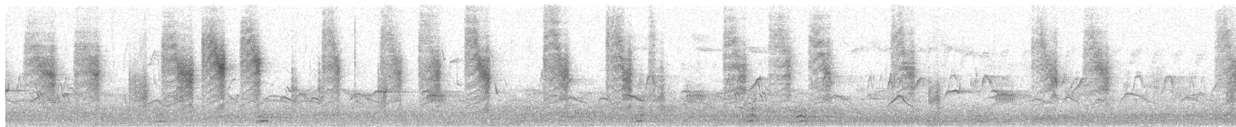 Troglodyte familier (groupe musculus) - ML79081041