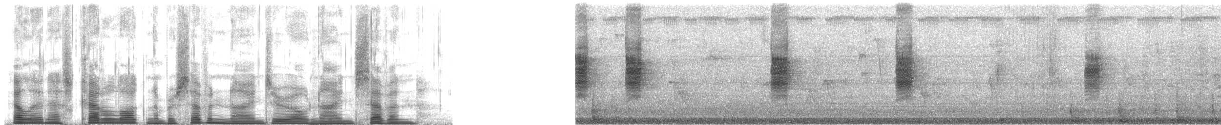 Tawny-flanked Prinia - ML79097