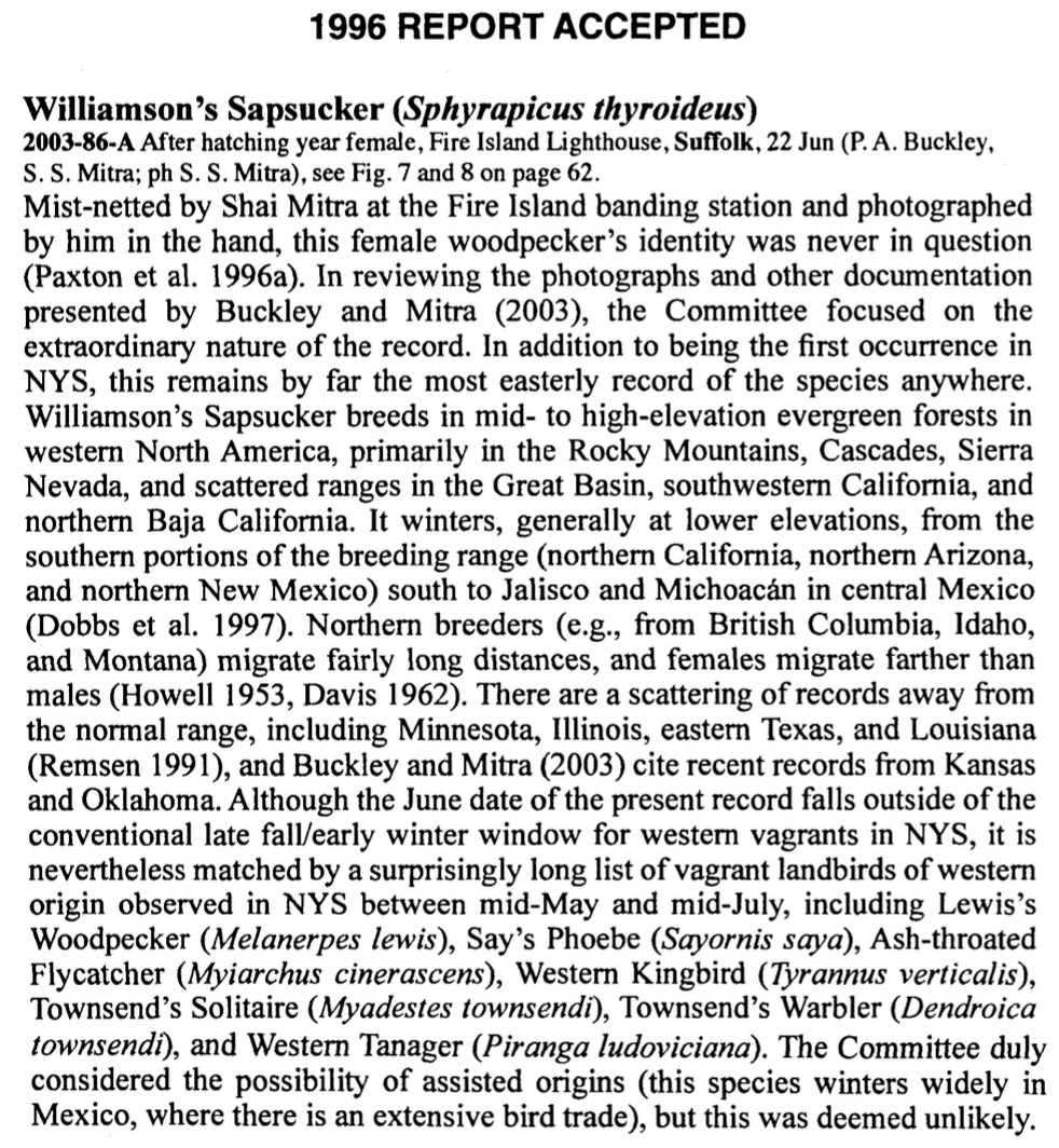 Williamson's Sapsucker - ML79109181