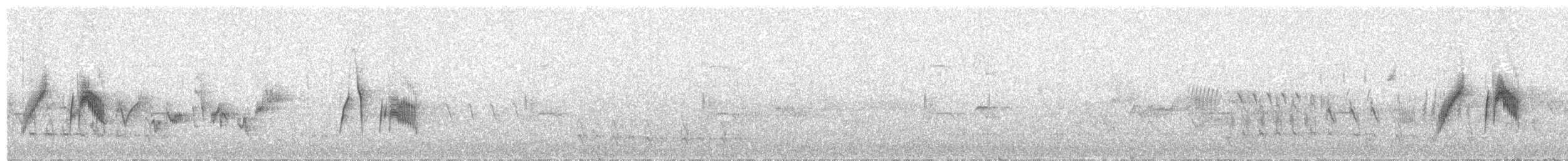tyranovec vrbový - ML79121511