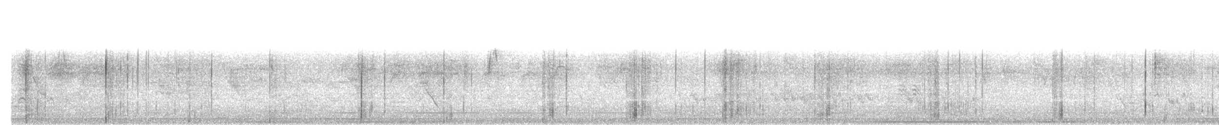 Common Iora - ML79134371